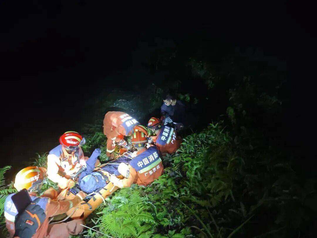 93岁老人进山失联<strong></p>
<p>理财pdf</strong>,两天后发现他倒挂在树杈上苦撑……