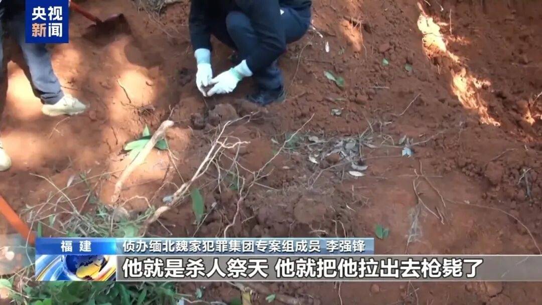 一个中国人卖30多万<strong></p>
<p>理财pdf</strong>,接班人和金主结拜杀人祭天……缅北果敢魏家犯罪集团专案细节曝光