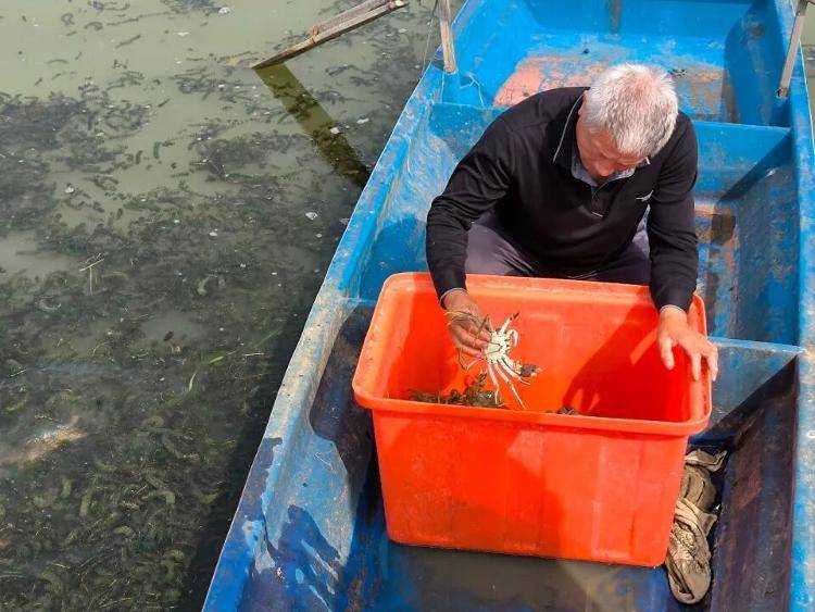 武汉江夏一地大闸蟹大量上市<strong></p>
<p>哪家银行理财产品</strong>,日产1000斤当天售完,每只螃蟹有自己的“身份证”,吃深海小黄鱼长大
