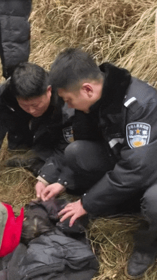 辽宁4岁女童称睡醒后自行下车<strong></p>
<p>高利理财</strong>,迷路后睡在草地,期间无人接触;其母发声