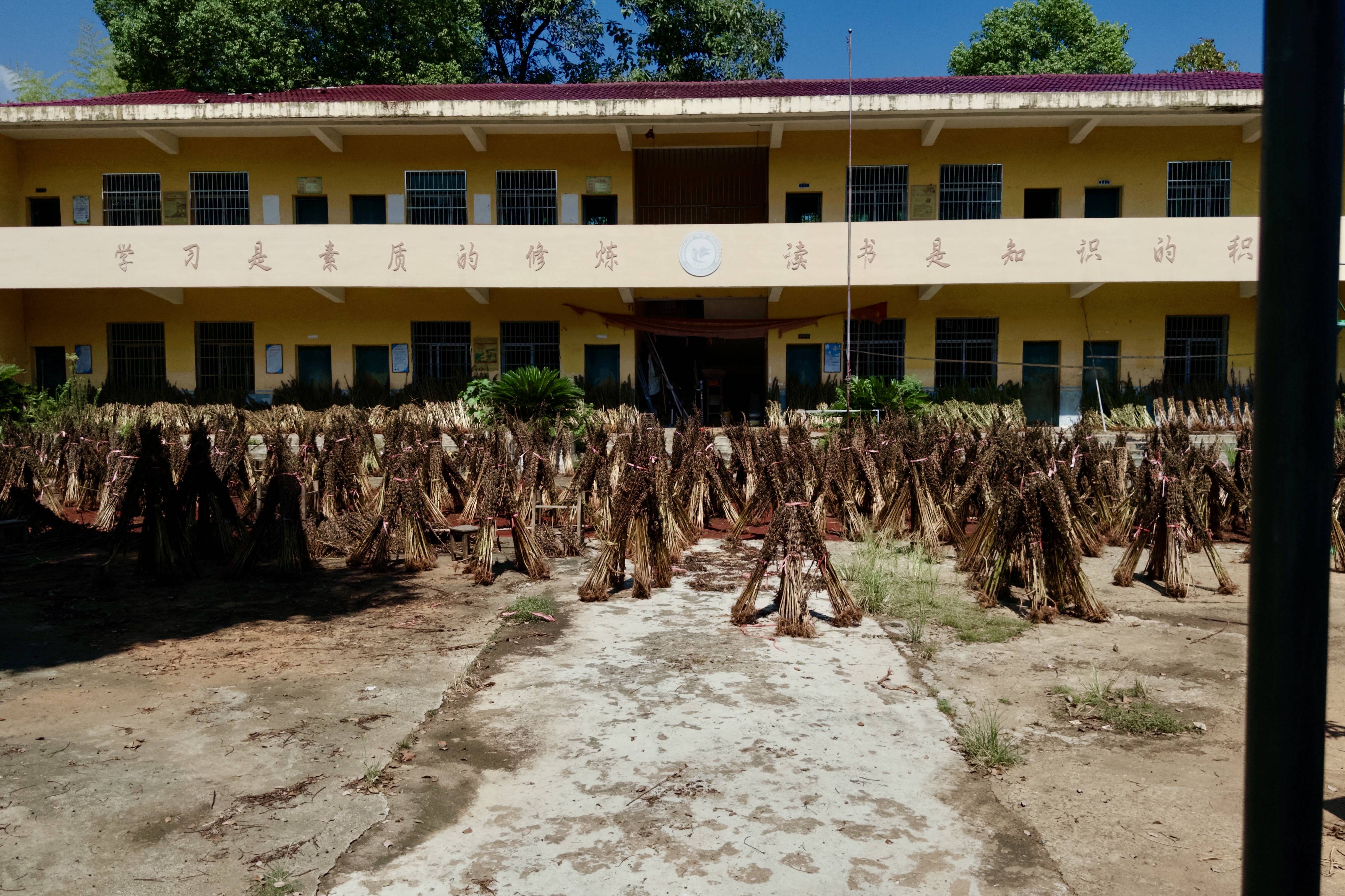 在县城当老师<strong></p>
<p>高利理财</strong>,没那么吃香了