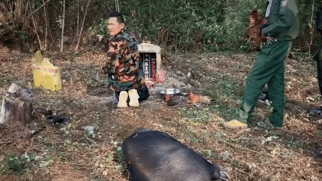 公安机关侦破缅北果敢徐老发犯罪集团专案<strong></p>
<p>高利理财</strong>,详情披露!