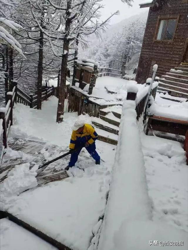 最低-8℃！陕西一地下雪了！西安最新天气预报
