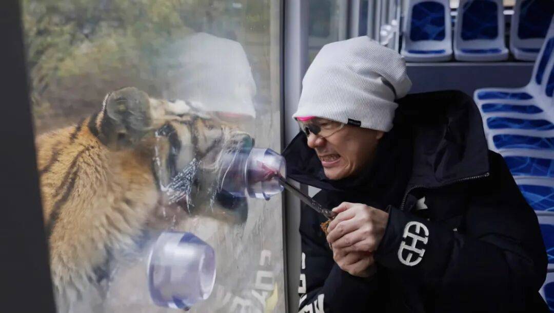 任贤齐打卡的哈尔滨<strong></p>
<p>理财7天</strong>,到底有多好玩?