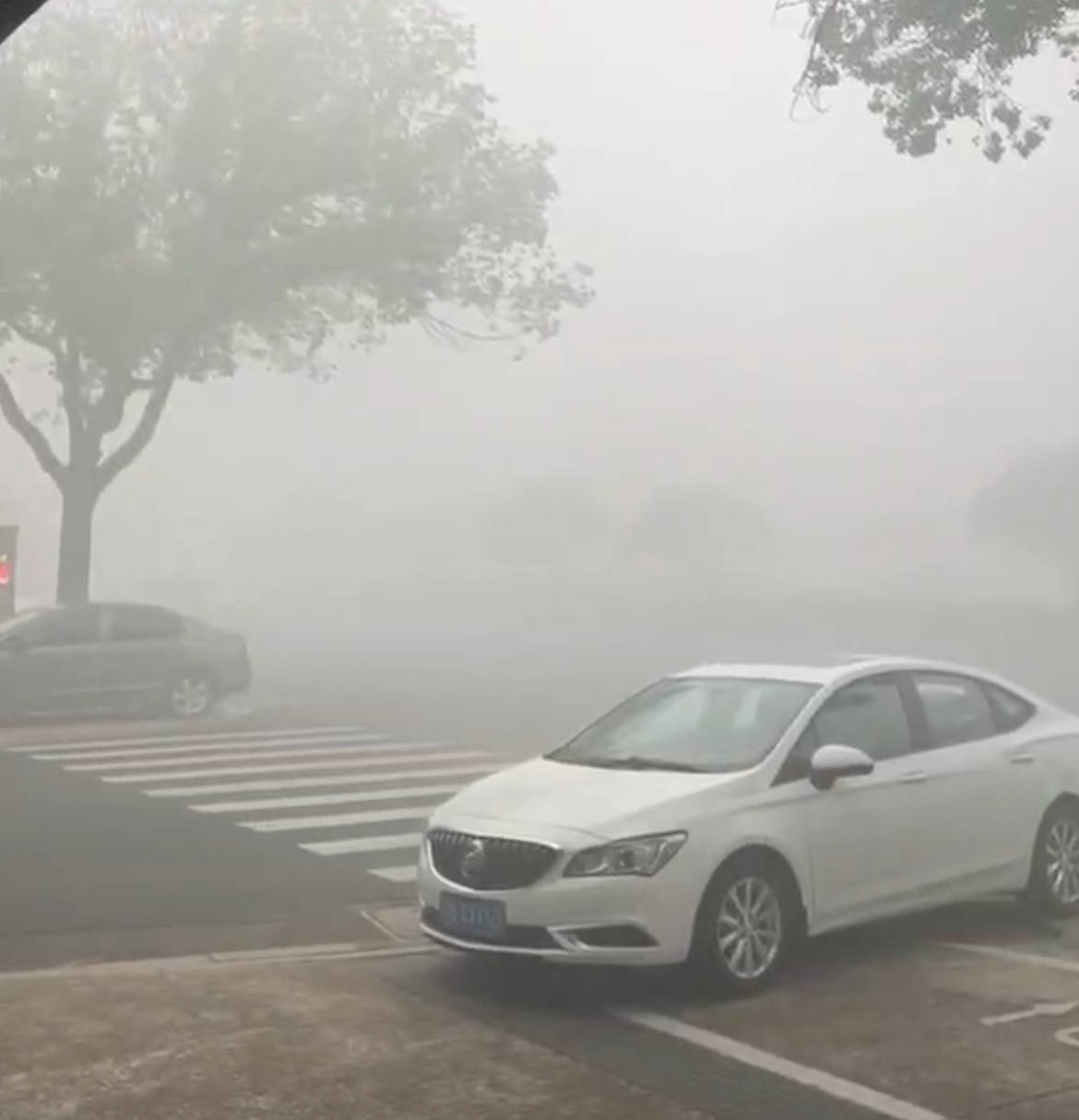 江苏一化工厂发生火灾<strong></p>
<p>理财7天</strong>,现场燃起冲天浓烟街道被烟雾笼罩,当地:将通报,未致人员伤亡