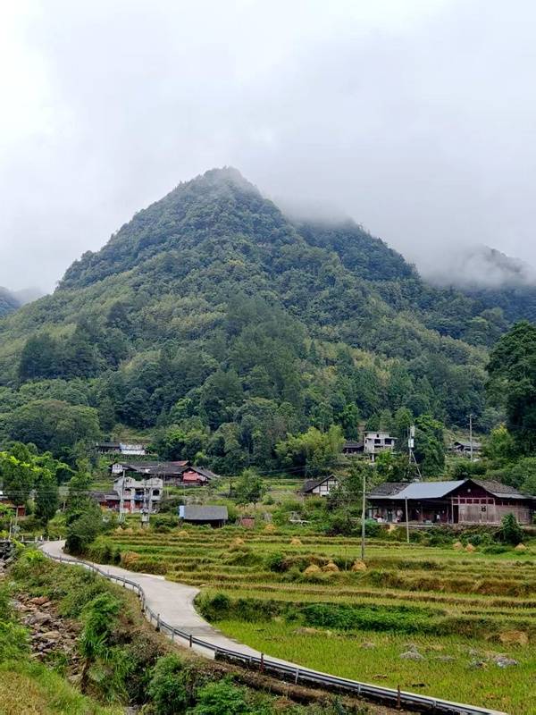 推窗见梯田<strong></p>
<p>6万理财</strong>!梧桐山民宿:把日子过成诗