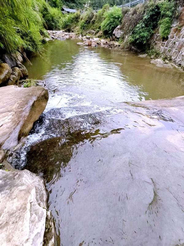 推窗见梯田<strong></p>
<p>6万理财</strong>!梧桐山民宿:把日子过成诗