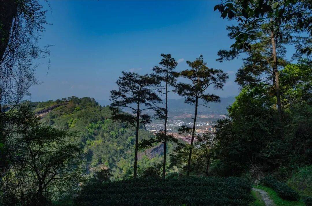 为什么年轻人迷上了爬山? | 秋高气爽<strong></p>
<p>6万理财</strong>,是时候出发了→