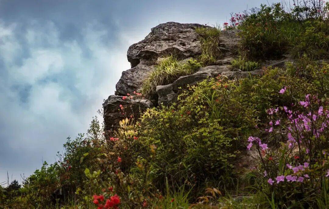 为什么年轻人迷上了爬山? | 秋高气爽<strong></p>
<p>6万理财</strong>,是时候出发了→