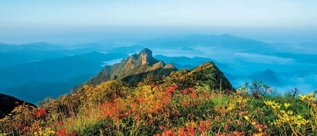 为什么年轻人迷上了爬山? | 秋高气爽<strong></p>
<p>6万理财</strong>,是时候出发了→