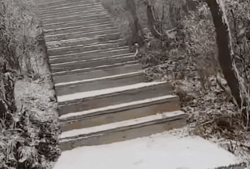 石家庄下雪了<strong></p>
<p>证券公司理财产品</strong>!河北雨雪上线!新一股冷空气在路上……