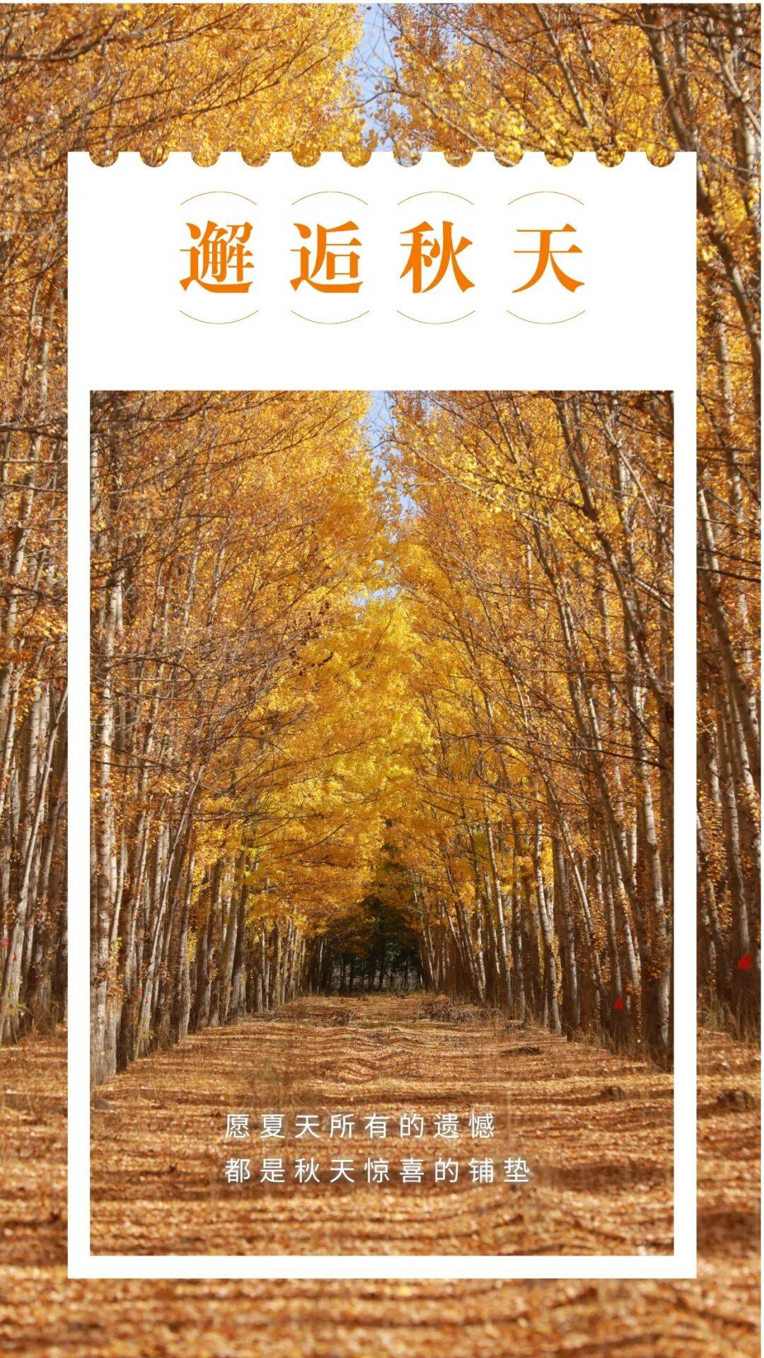 邂逅博州的秋天<strong></p>
<p>证券公司理财产品</strong>,从从容容游刃有余