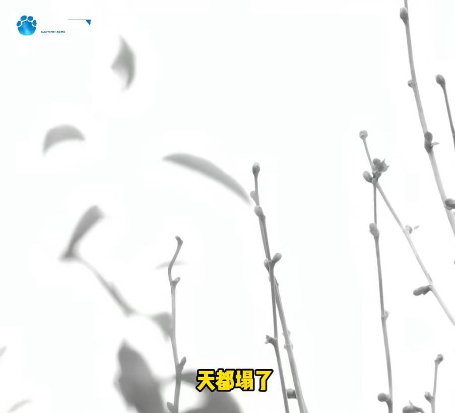 “天塌了<strong></p>
<p>河南理财</strong>,我一生都毁了”,男子称养了20年才发现儿子非亲生!前妻坚决否认