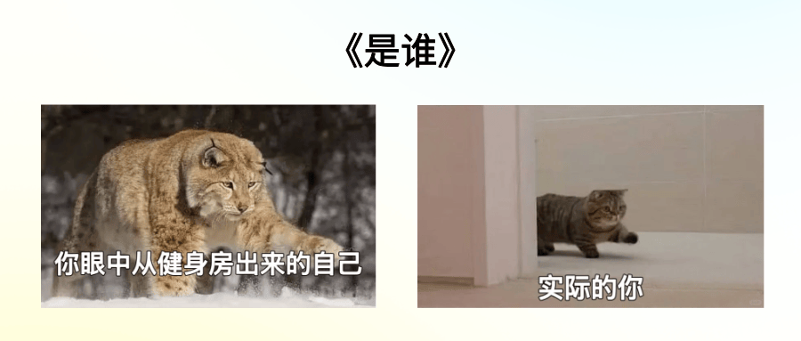 注意 | 运动时少了这一步<strong></p>
<p>河南理财</strong>,你的身体可能会“毁掉”