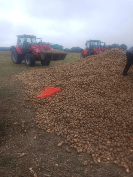 波兰68岁农民收获的150吨土豆被一夜搬空<strong></p>
<p>理财app下载</strong>, 只因帖子遭篡改