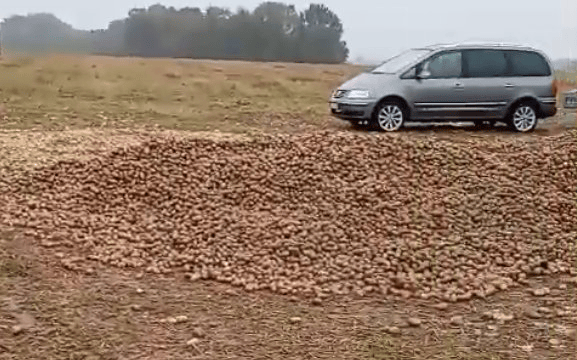 波兰68岁农民收获的150吨土豆被一夜搬空<strong></p>
<p>理财app下载</strong>, 只因帖子遭篡改