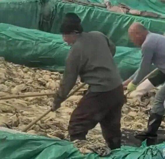 男子在酸菜池内抽烟吐痰<strong></p>
<p>理财夜市</strong>,官方通报!