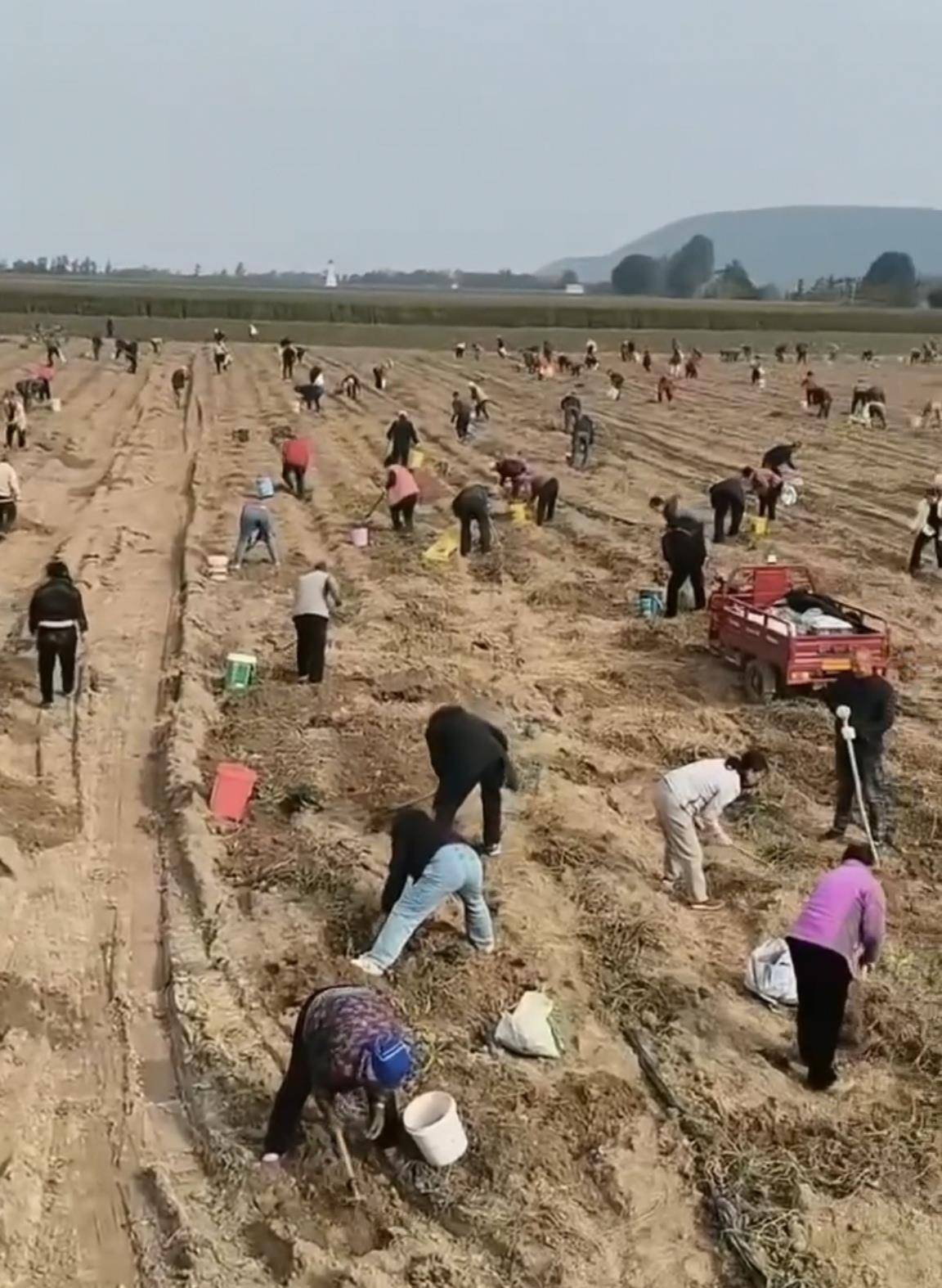 数百人冲进地里捡红薯<strong></p>
<p>理财通下载</strong>,田主称是秋收剩下的,网友:免费翻地,利人利己