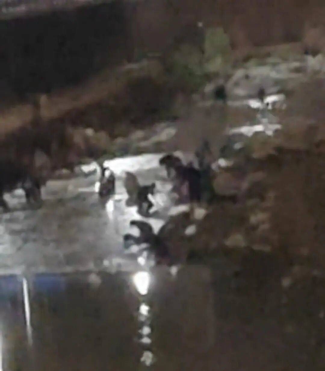 “一盆出5克多”<strong></p>
<p>通通理财</strong>,多人凌晨下河淘金!当地警方回应