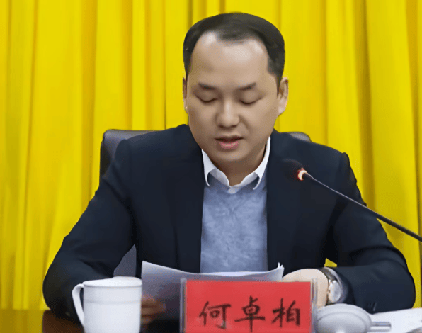 何卓柏<strong></p>
<p>通通理财</strong>，严重违纪违法