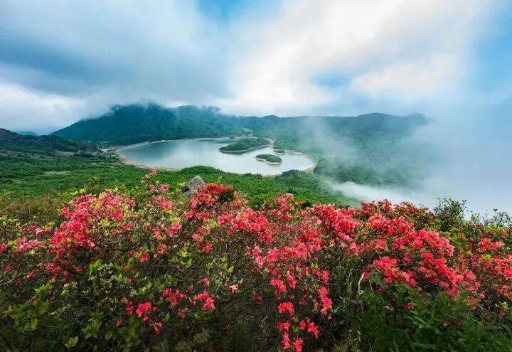 禁止任何形式穿越<strong></p>
<p>投资理财金融</strong>!杭州一地发布最严禁令