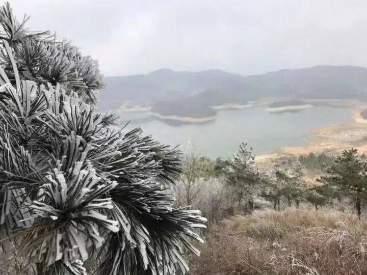 禁止任何形式穿越<strong></p>
<p>投资理财金融</strong>!杭州一地发布最严禁令