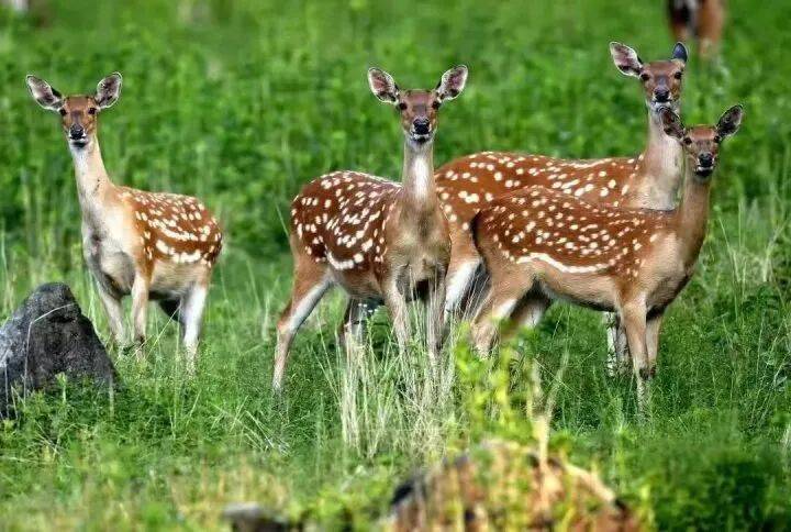 禁止任何形式穿越<strong></p>
<p>投资理财金融</strong>!杭州一地发布最严禁令