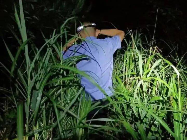 禁止任何形式穿越<strong></p>
<p>投资理财金融</strong>!杭州一地发布最严禁令