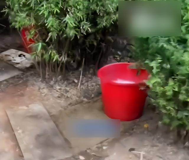 九江一公园摆3个尿桶供人露天小便<strong></p>
<p>白银理财</strong>,不到百米外就有公厕