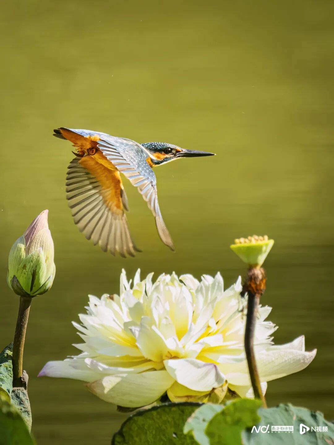 东莞最新发布:将严厉打击这些行为<strong></p>
<p>白银理财</strong>!