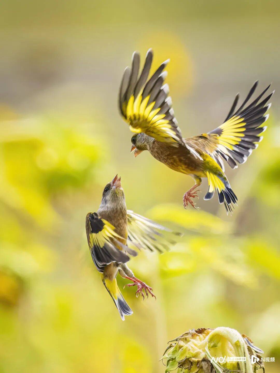 东莞最新发布:将严厉打击这些行为<strong></p>
<p>白银理财</strong>!