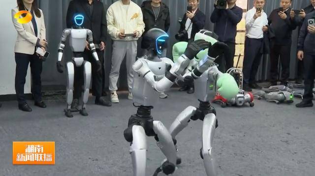 湖南省省长、浙江省省长<strong></p>
<p>小龙理财</strong>,一同观看机器人表演