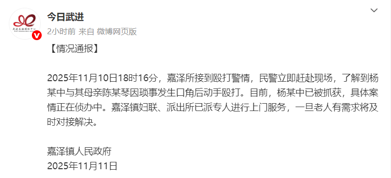 全网愤怒!男子将93岁母亲摁倒在地殴打<strong></p>
<p>猪理财</strong>,老人惨叫着躲进厨房…官方最新通报