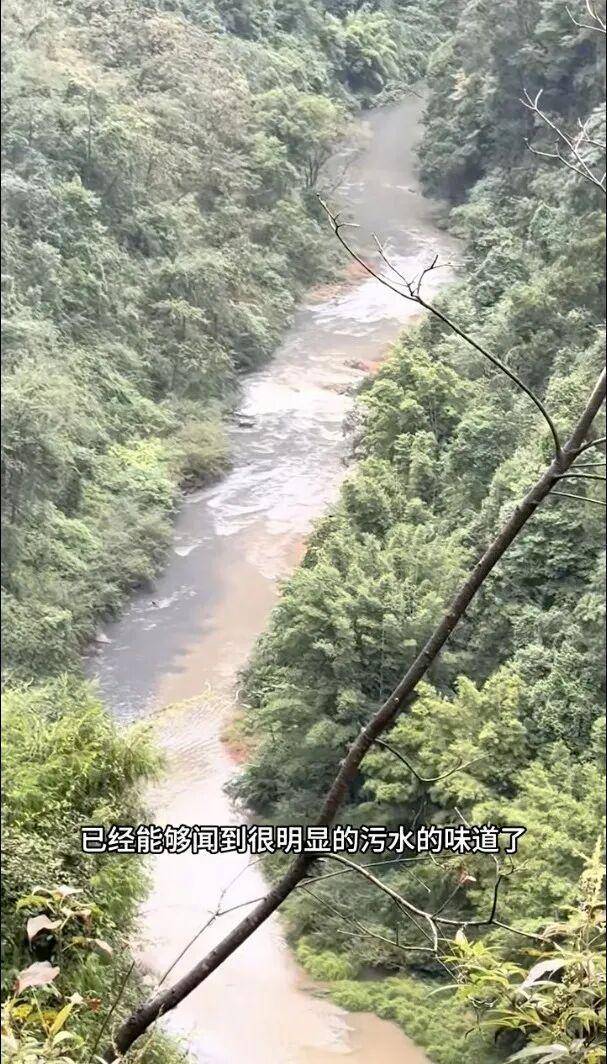 重庆通报：坚决查处<strong></p>
<p>猪理财</strong>，绝不姑息