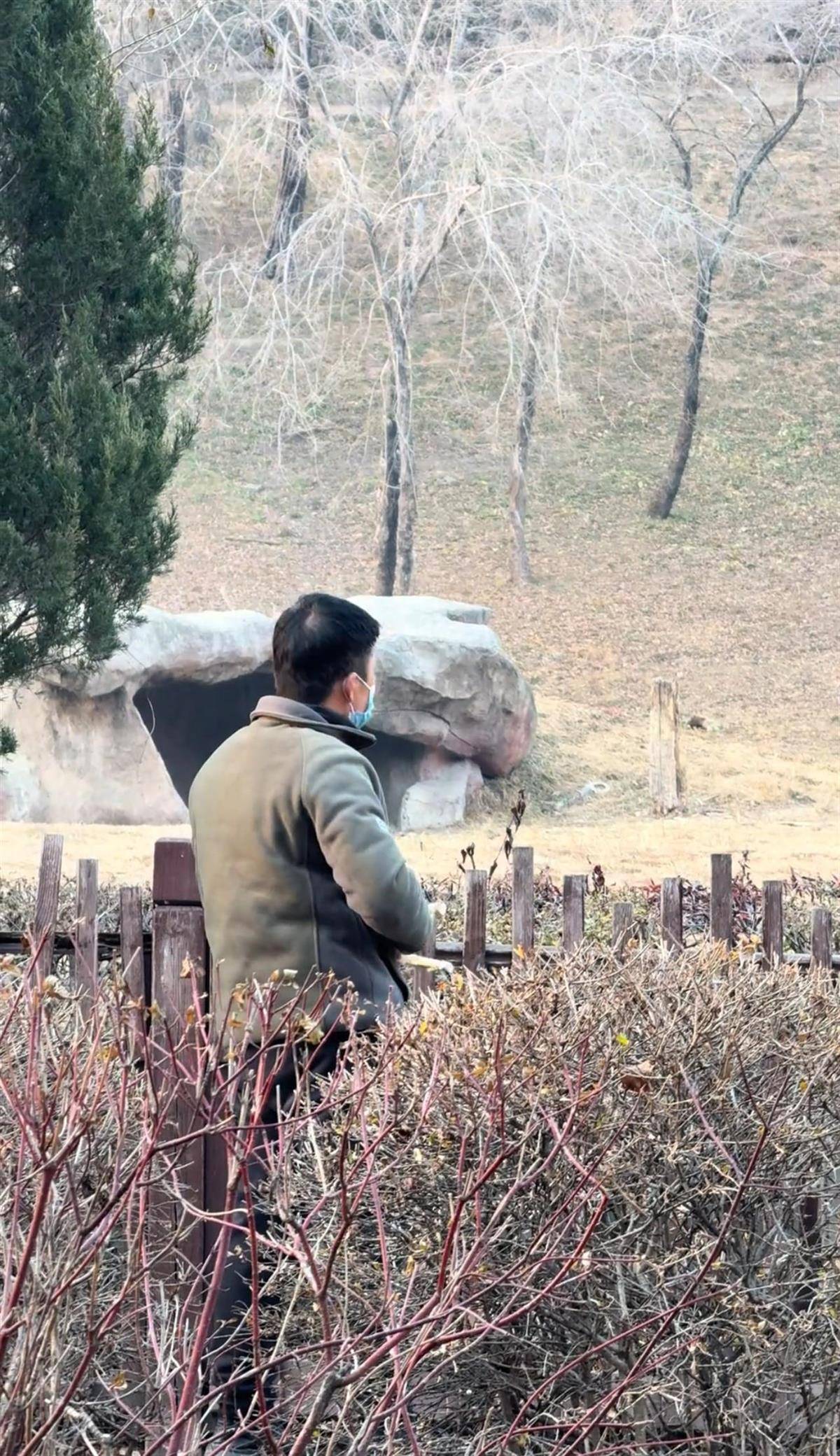 沈阳一男子动物园内用弹弓射老虎<strong></p>
<p>公司理财课程</strong>,目击者称其“填装了弹丸”,打完后老虎爬起来了,园方:正在核实情况