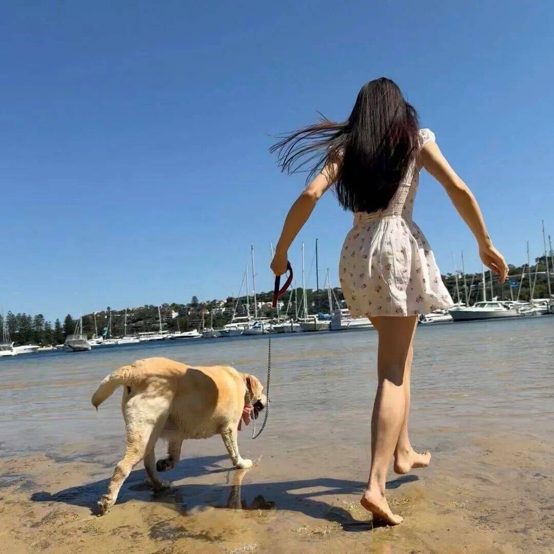 第一批丁克老后<strong></p>
<p>公司理财课程</strong>,“伴侣能陪一程,但最后都要靠自己”