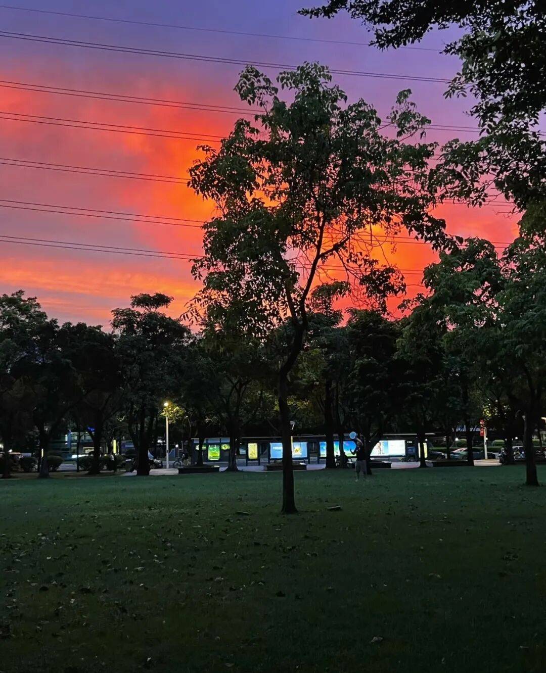 第一批丁克老后<strong></p>
<p>公司理财课程</strong>,“伴侣能陪一程,但最后都要靠自己”