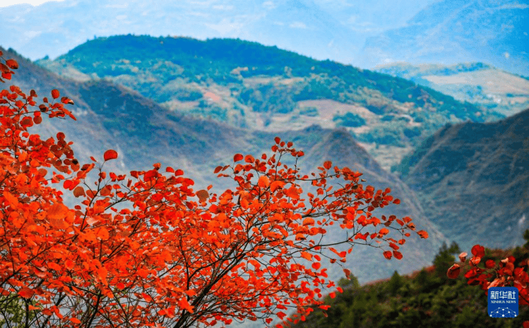 重庆巫山：初冬美景引客来