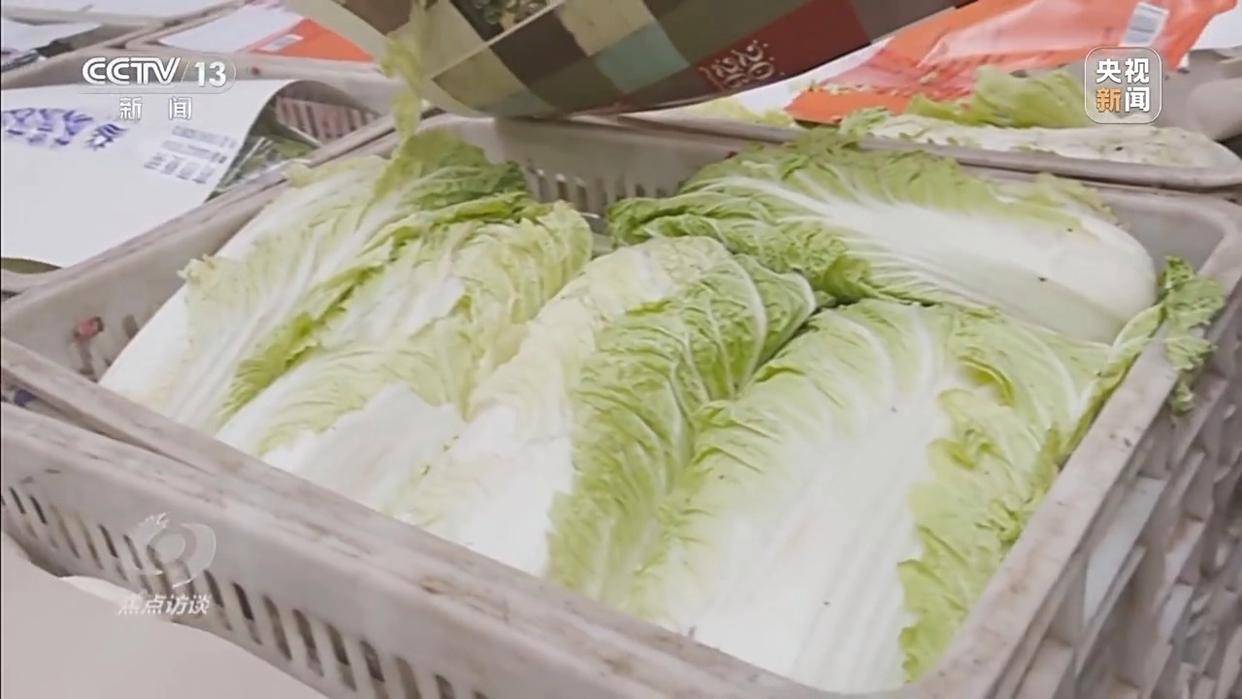 单棵售价超百元<strong></p>
<p>在美国理财</strong>,起底“套牌白菜”背后的销售套路