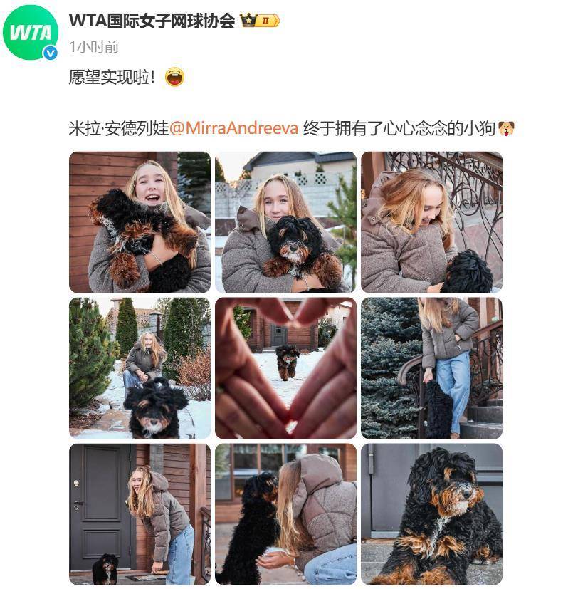 “小米辣”终于有了自己的小狗!曾说养狗是赢球的动力<strong></p>
<p>在美国理财</strong>,WTA官方发“贺信”:愿望实现啦!