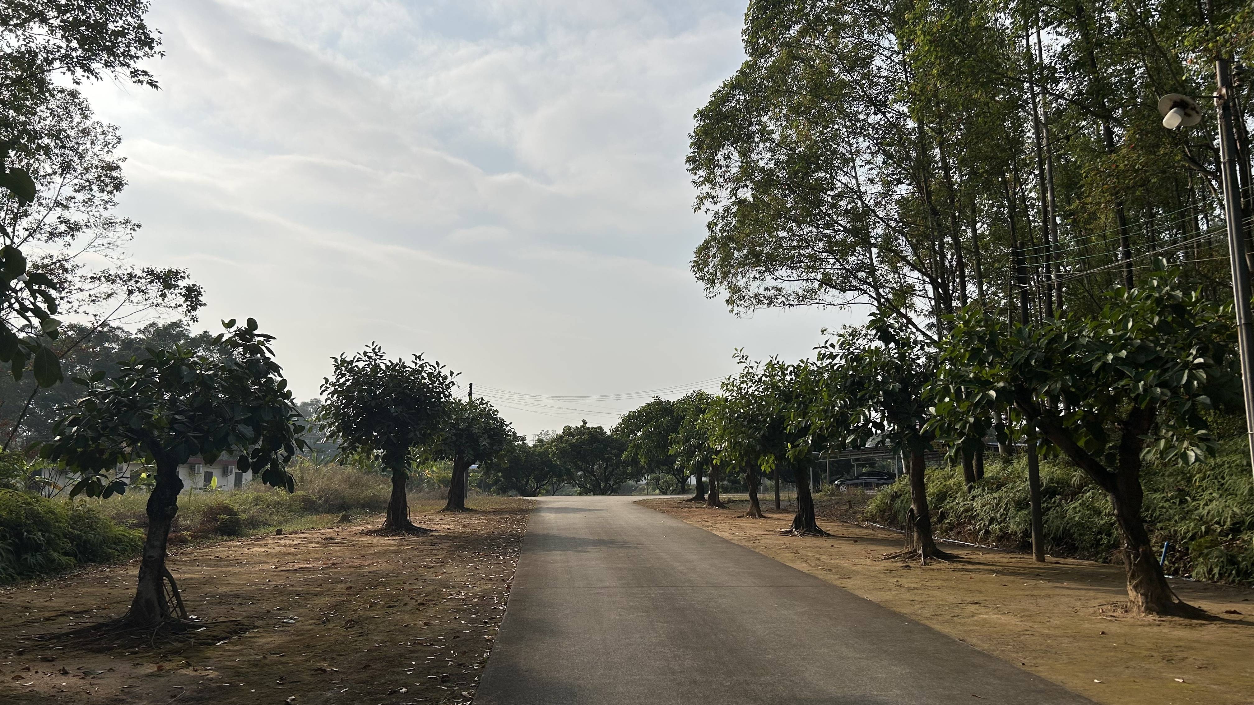 有价无猴!实验猴价格暴涨<strong></p>
<p>理财收益排名</strong>,有猴场明年的猴都被订光,繁殖率已跟不上|调查