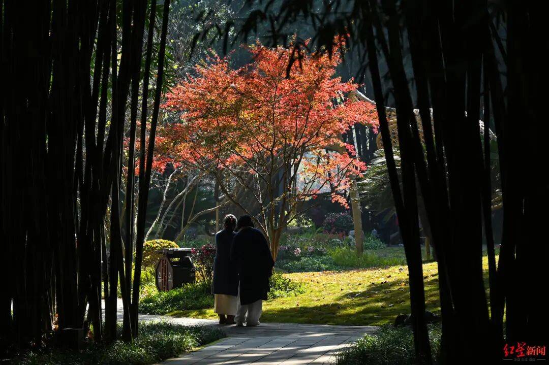 我国已进入拉尼娜状态<strong></p>
<p>投资理财介绍</strong>!四川今冬或“前暖后冷”