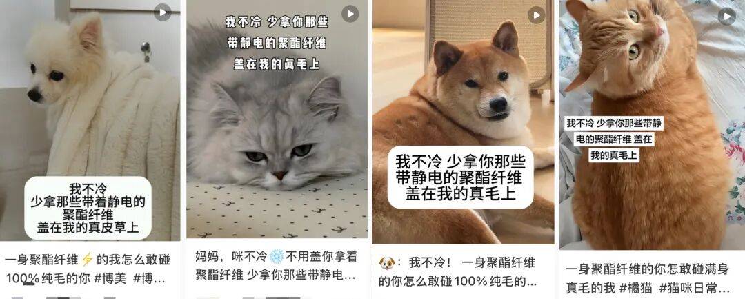 “聚酯纤维衣服是旧塑料瓶做的”<strong></p>
<p>理财卷</strong>,这今冬最歹毒造谣看得人生气