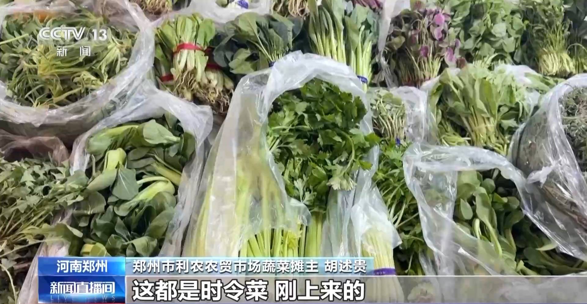 蒸、煎、拌、酿……一口鲜菜如何“锁”住春天<strong></p>
<p>聪明理财</strong>？