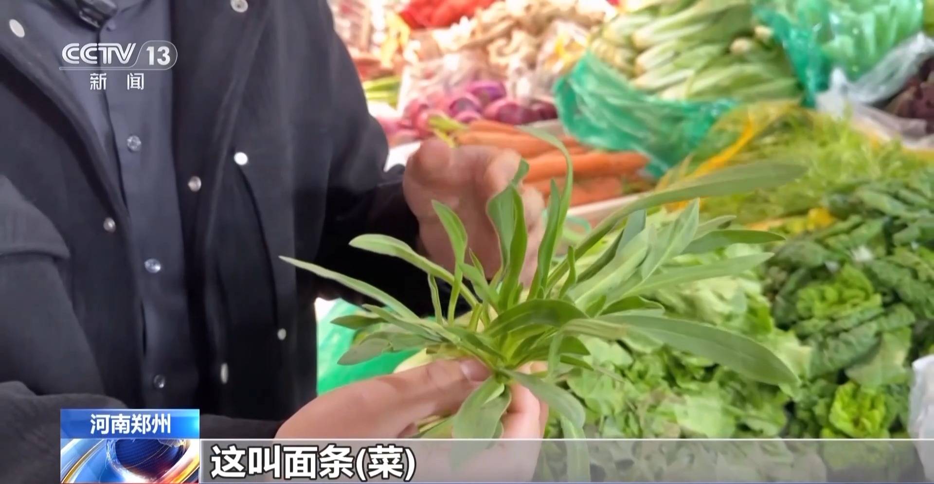 蒸、煎、拌、酿……一口鲜菜如何“锁”住春天<strong></p>
<p>聪明理财</strong>？