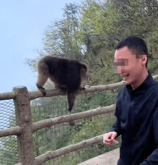 猛推峨眉山猴子的男子已致歉<strong></p>
<p>代理财务记账</strong>，三年内禁止进入景区！猴子没事